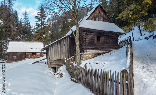 Cottage in Kvacianska dolina, Slovakia photo