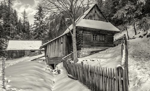 Cottage in Kvacianska dolina, Slovakia photo