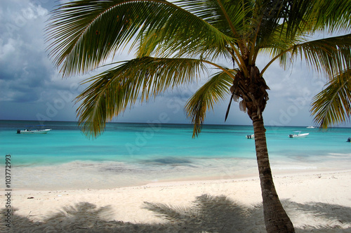 Fototapeta Naklejka Na Ścianę i Meble -  Beach beds under coconut palm with an ocean view