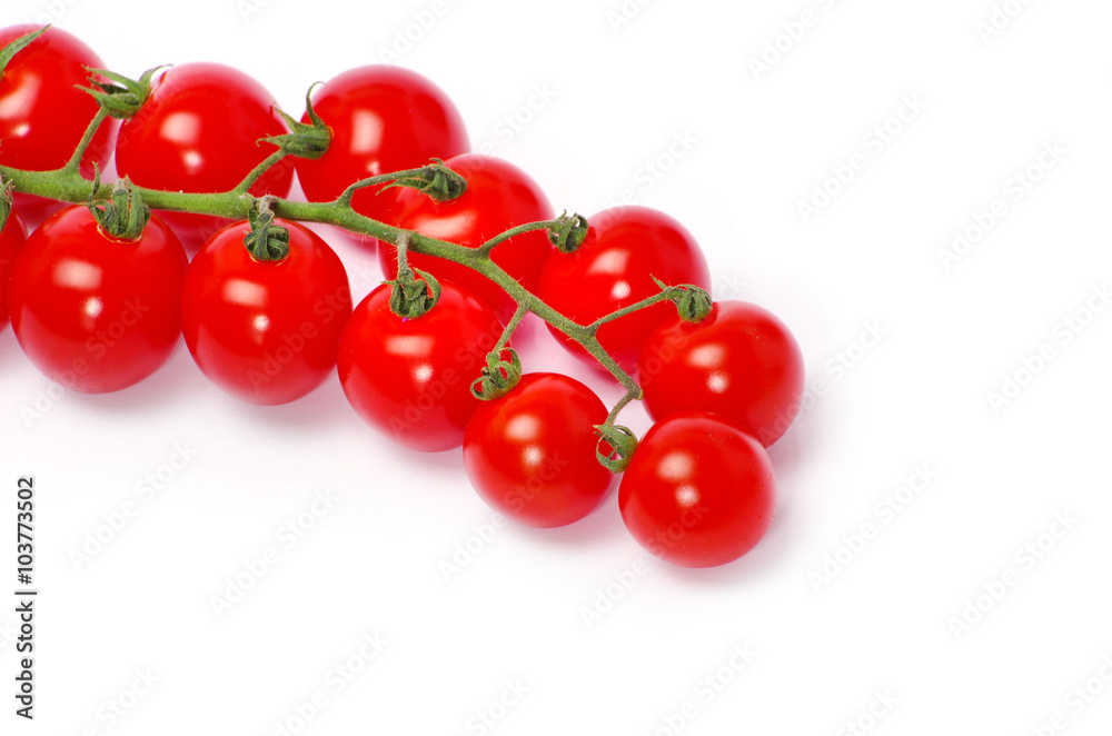 tomatoes tomatoes