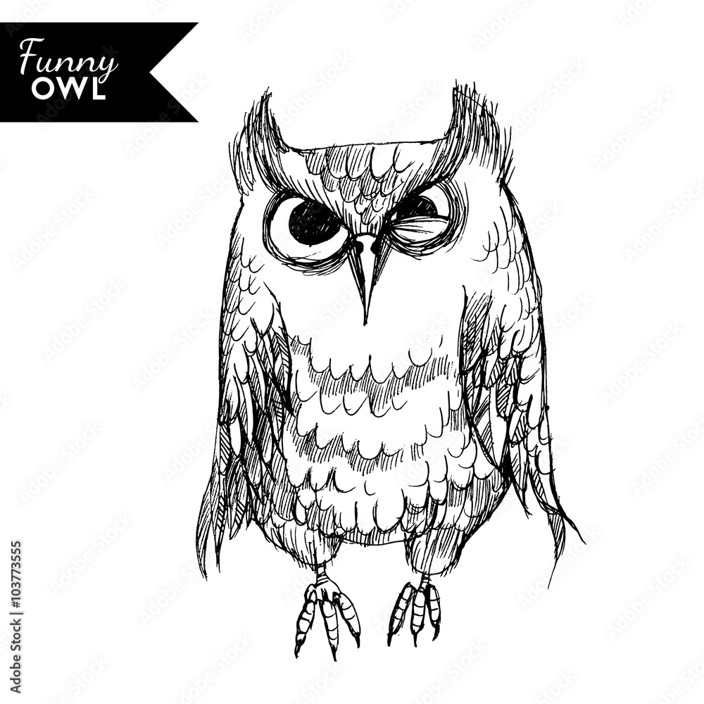 Fototapeta premium funny owl character