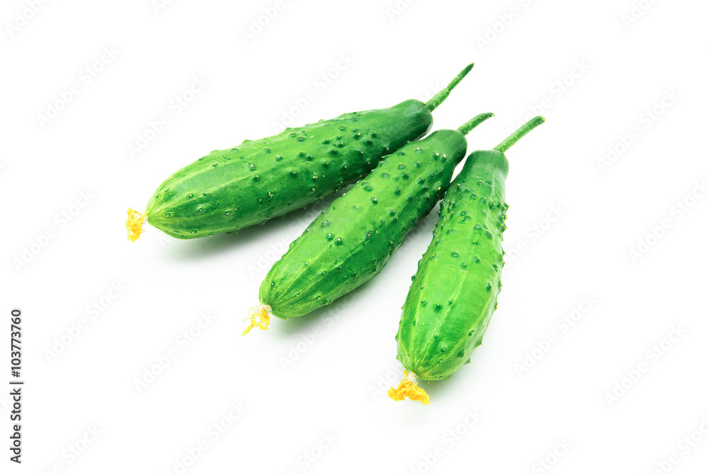 fresh cucumbers isolated on white fresh cucumbers isolated on white