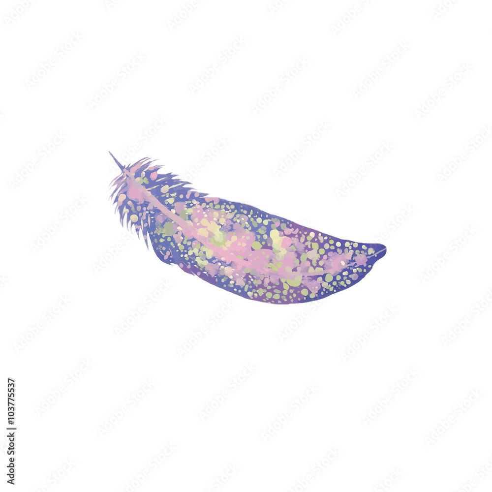 Fototapeta premium Violet feather.