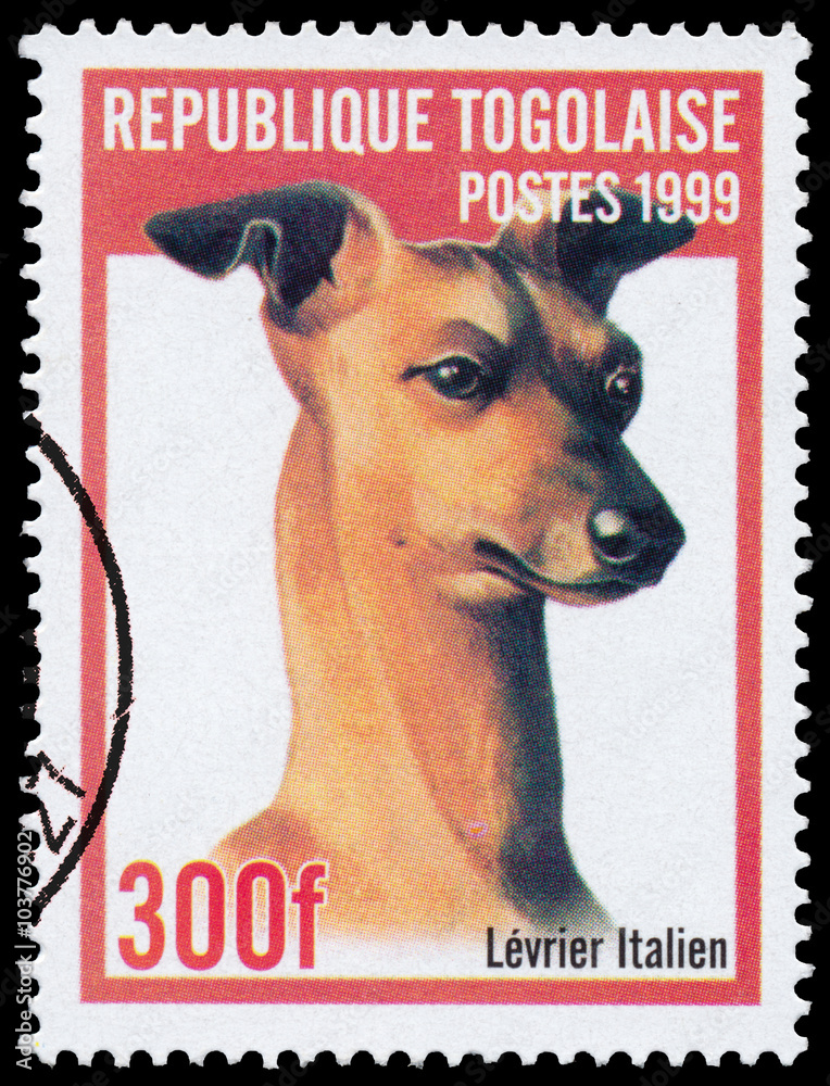 Stamp printed in Togo shows Italian Greyhound