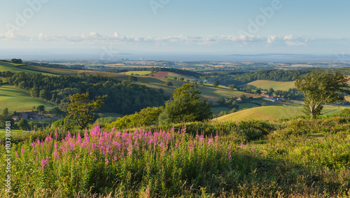 Φωτογραφία Quantock Hills Somerset England UK countryside views towards Hinkley Point Nucle