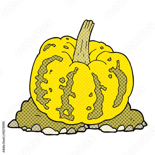 cartoon squash