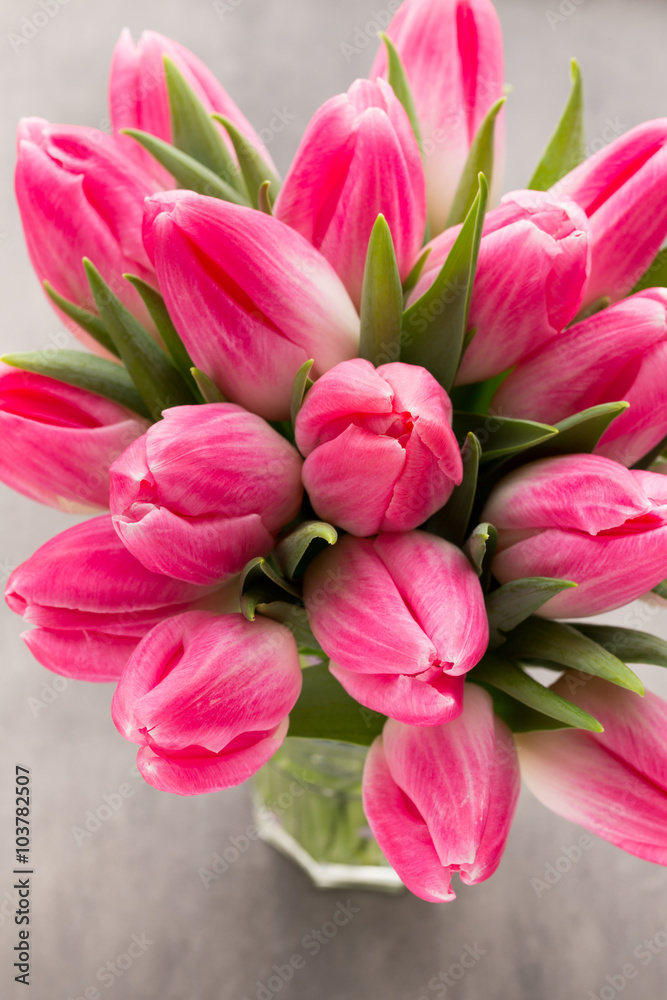 Obraz premium More tulip on the grey background.