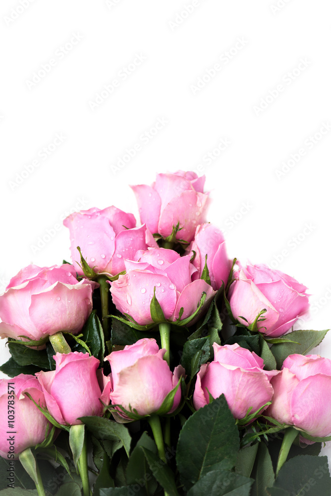 Bouquet of beautiful pink roses