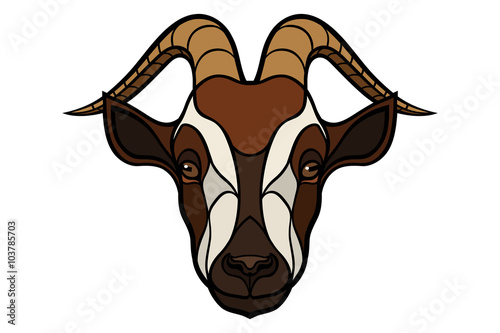 Goat head vector image on white background