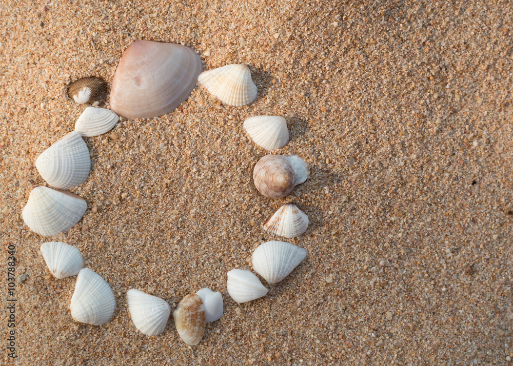 sea shells with sand as background sea shells with sand as background