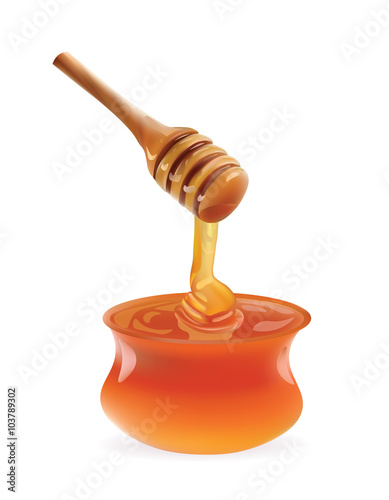 Vector Honey Bank Realistic illustration. Isolated On White Background