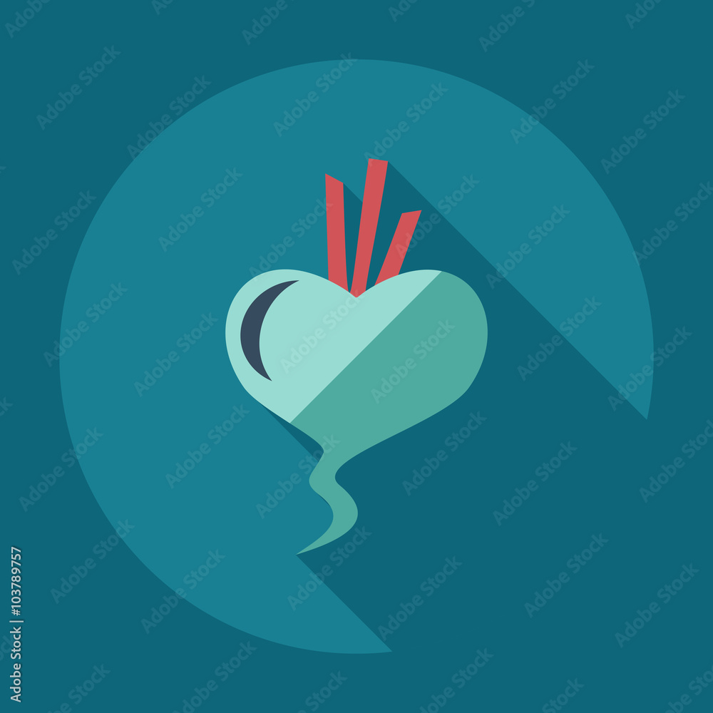 Obraz premium Flat modern design with shadow icons beet