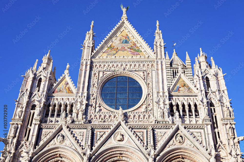 Siena Cathedral in Siena