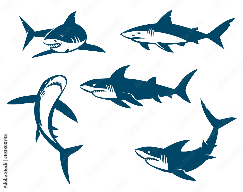 Fototapeta premium Zbiór dużych rekinów czarne sylwetki.