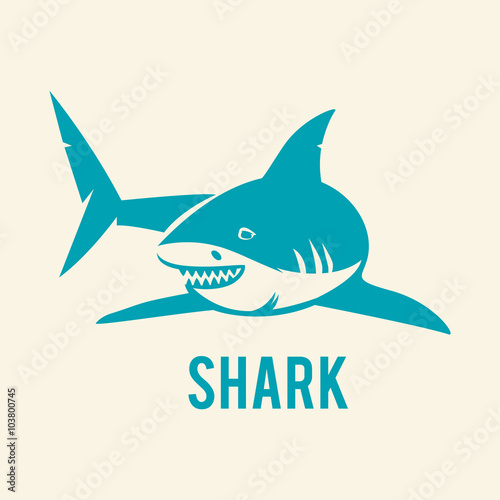 Shark - vector illustration.