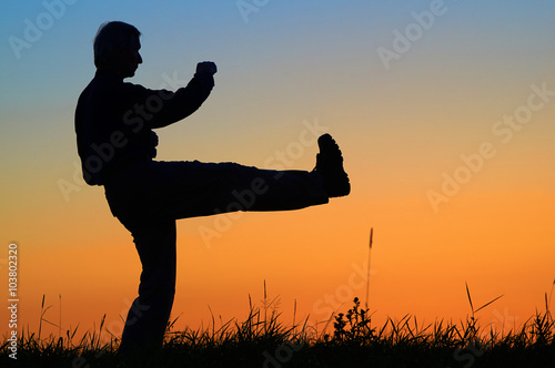 Man practicing karate on the grassy horizon after sunset. Karate front kick leg - Mae geri kekomi. Art of self-defense. Silhouette against a bright orange sky.