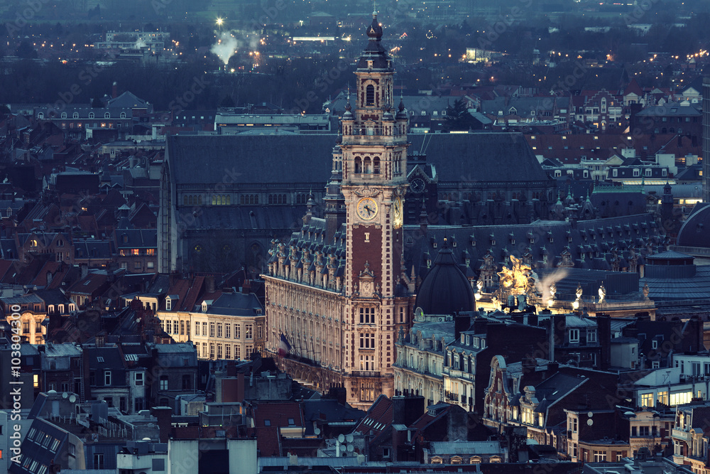 Aerial view of Lille