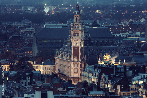 Aerial view of Lille photo