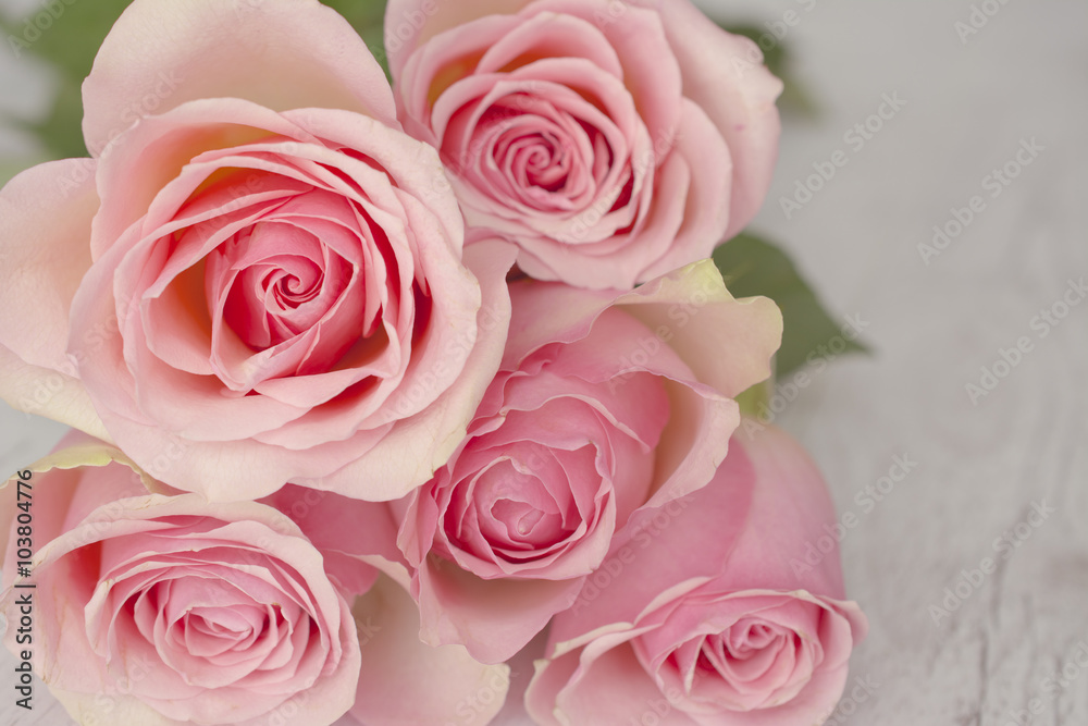 Close up background with pink roses over white wooden table. Top view with copy space Close up background with pink roses over white wooden table. Top view with copy space
