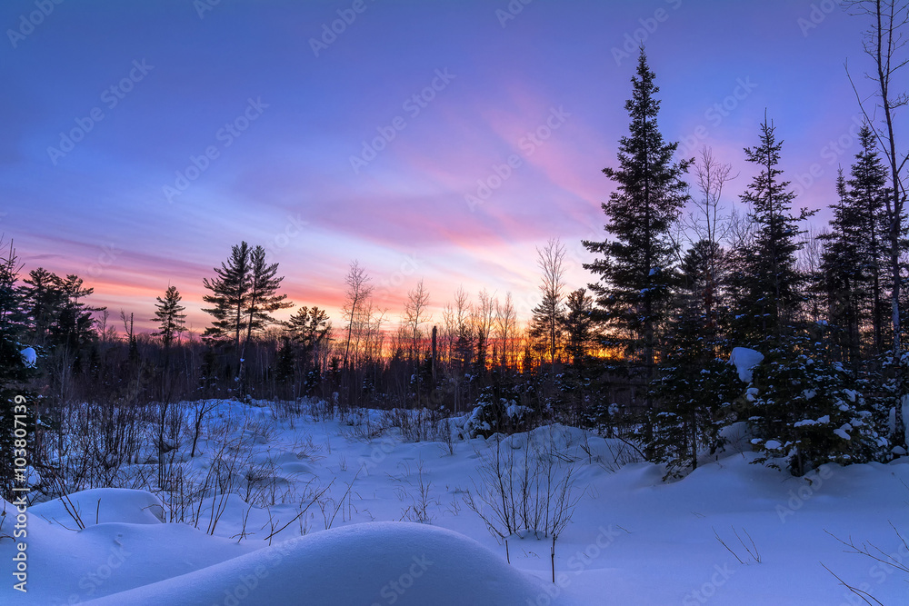 Sunset over a snowy meadow in the pine forest in northern Wisconsin.