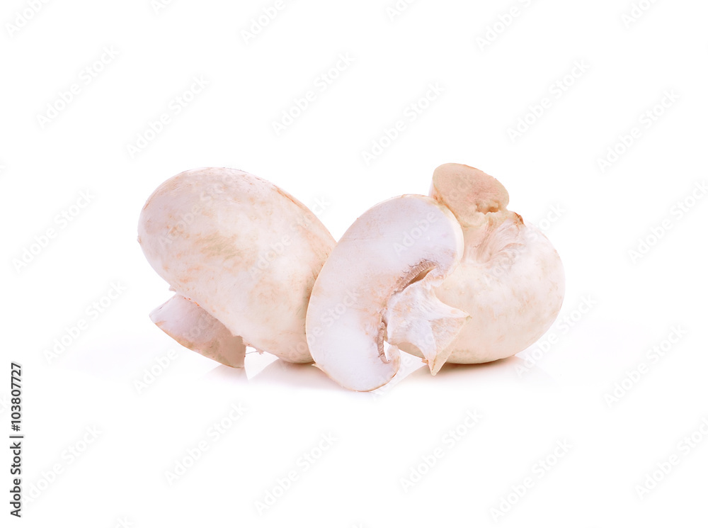 Champignon mushroom isolated on white background Champignon mushroom isolated on white background