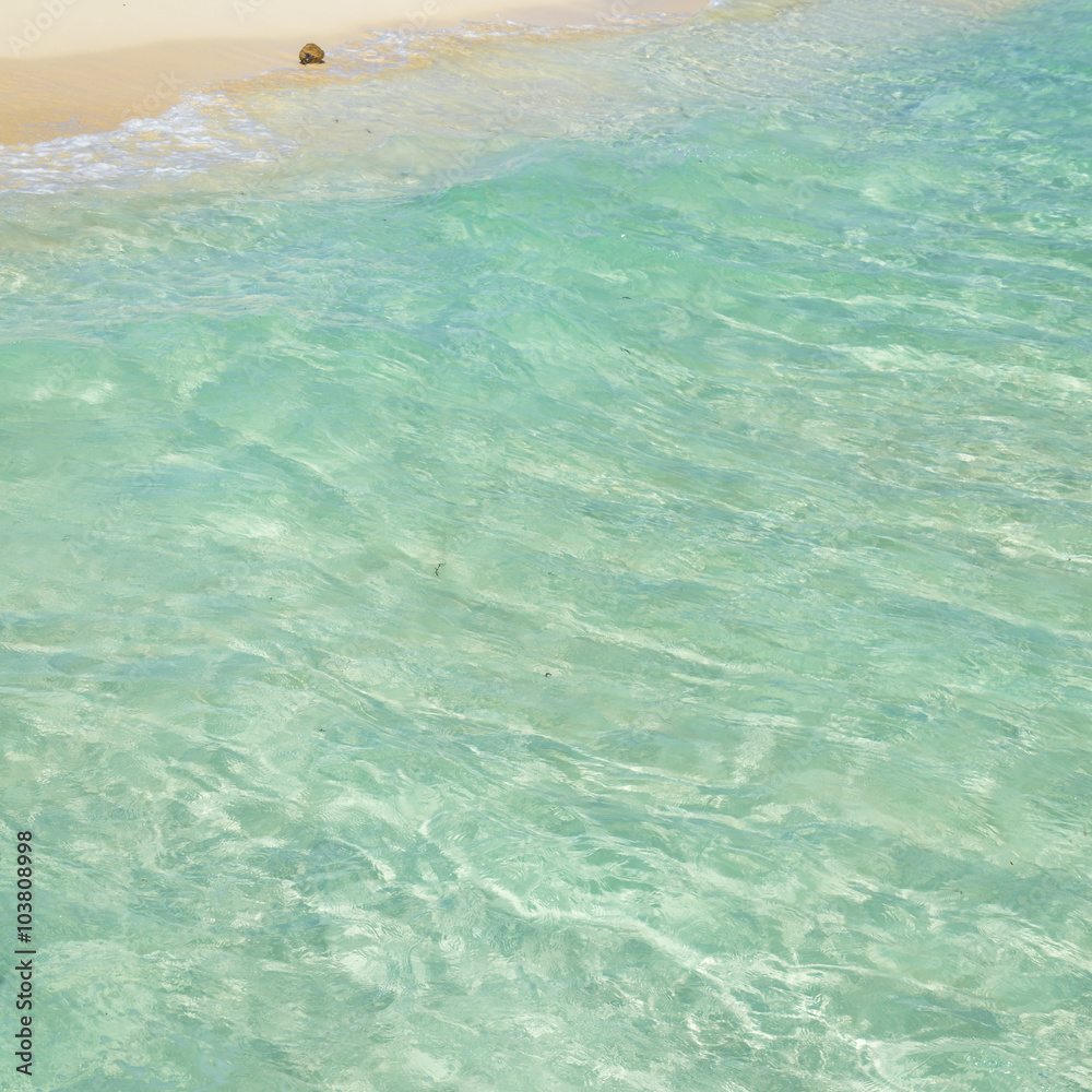 Soft wave of the tropical sea on the sandy beach. Caribbean Sea