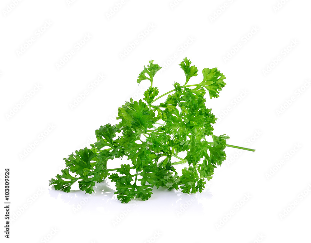 Parsley on a white background