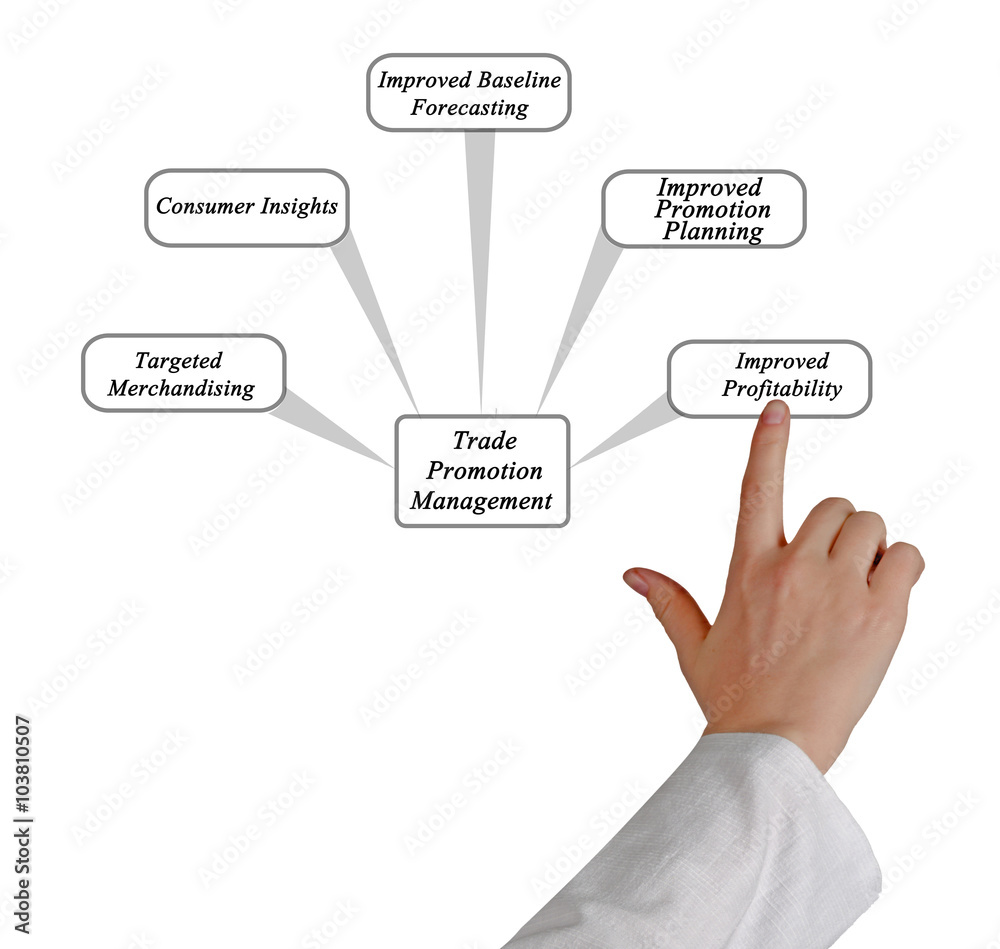Trade Promotion Management and Analytics Trade Promotion Management and Analytics