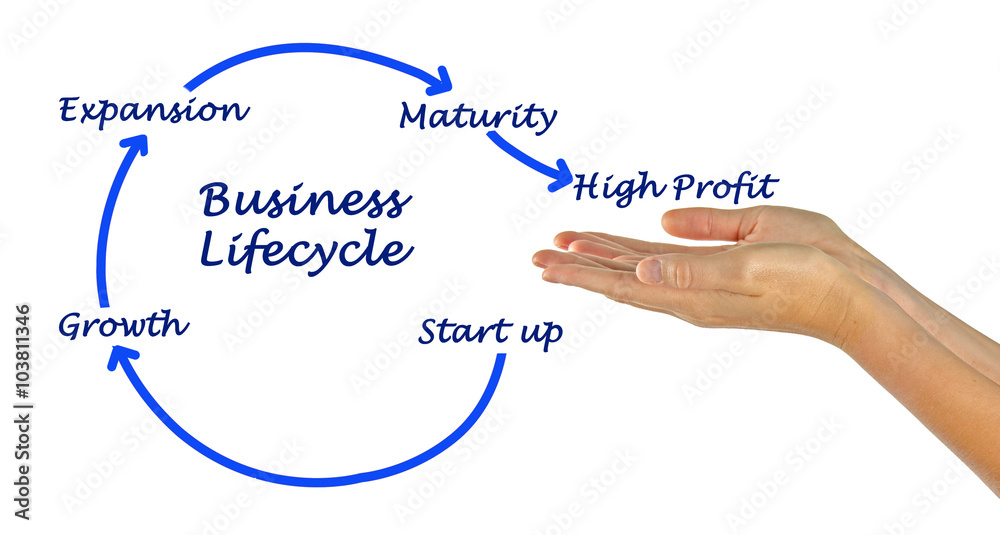 Diagram of Business lifecycle Diagram of Business lifecycle
