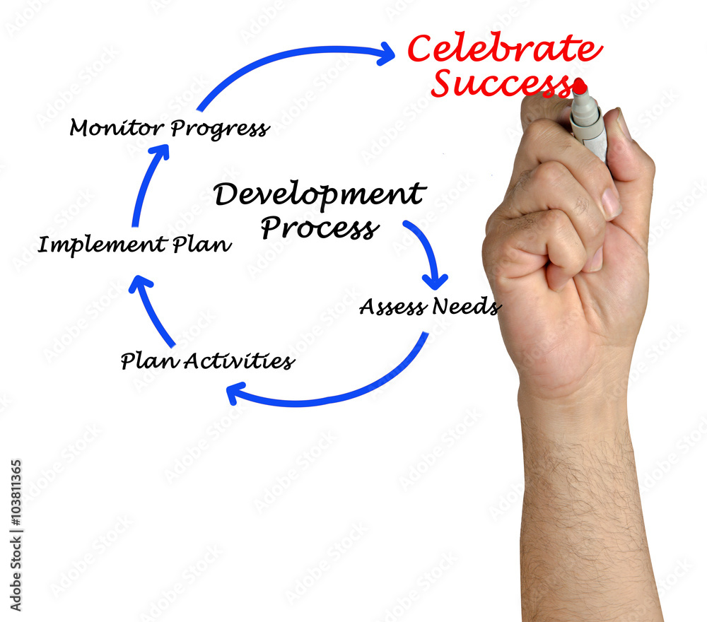 Diagram of development process