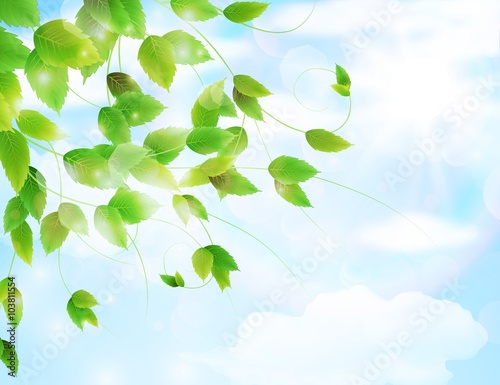 Spring background with fresh green leaves