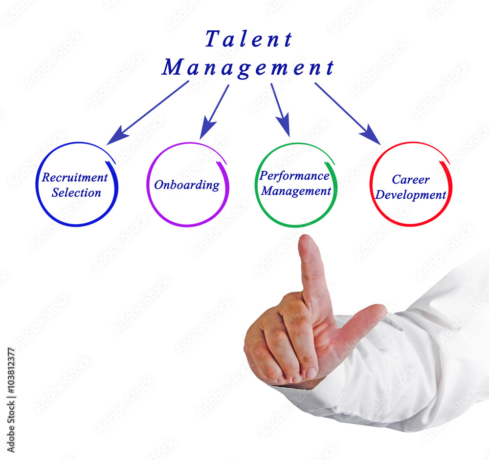 Diagram of Talent Management Diagram of Talent Management