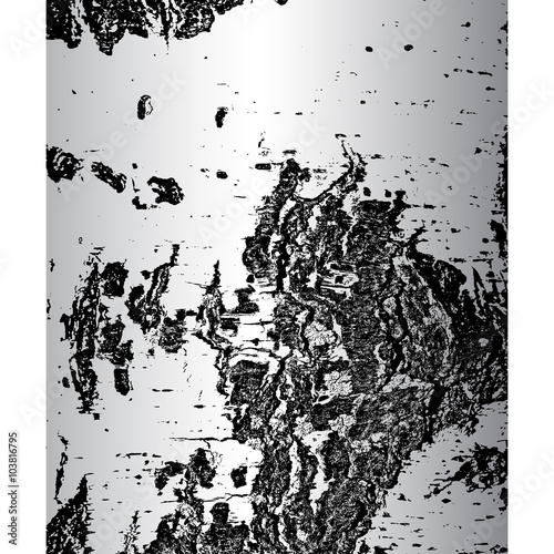Wallpaper Mural Bark of birch in the cracks texture. Vector illustration Torontodigital.ca
