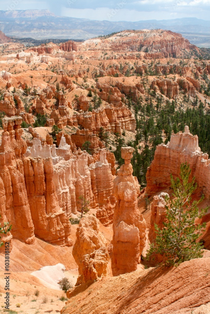 BRYCE CANYON NATIONAL PARK 