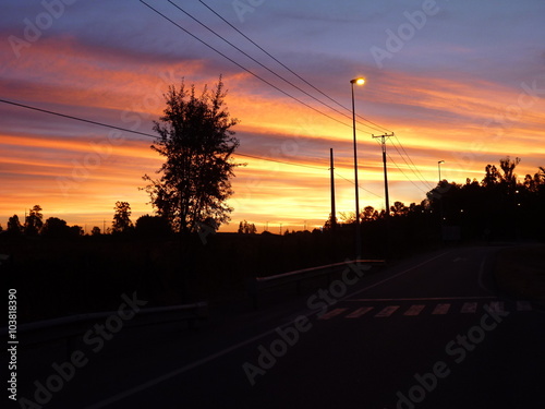 sunset panorama with electricity wires in the nature