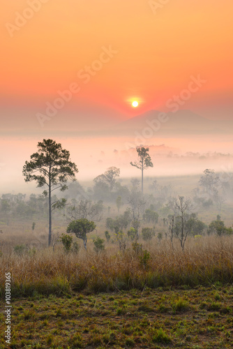 Natural landscape sunrise in winter.