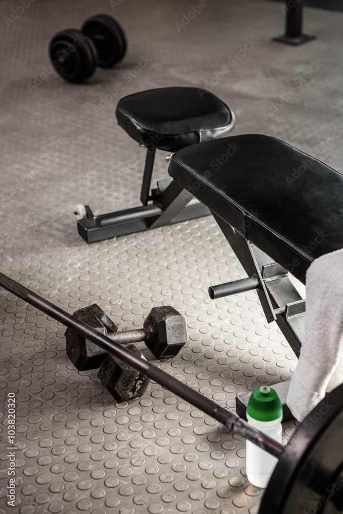 Bench and barbell Bench and barbell