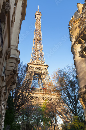 Fototapeta Naklejka Na Ścianę i Meble -  Streets of Paris
