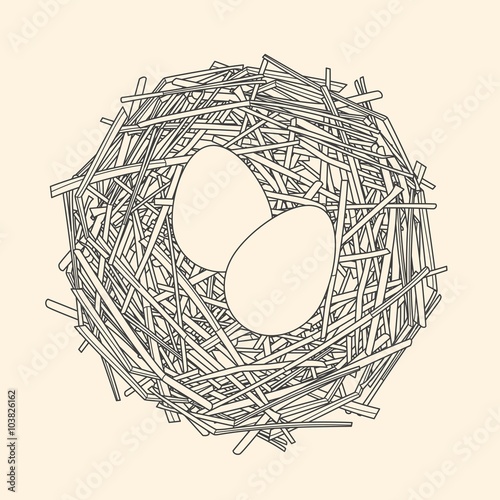 Straw nest with two eggs