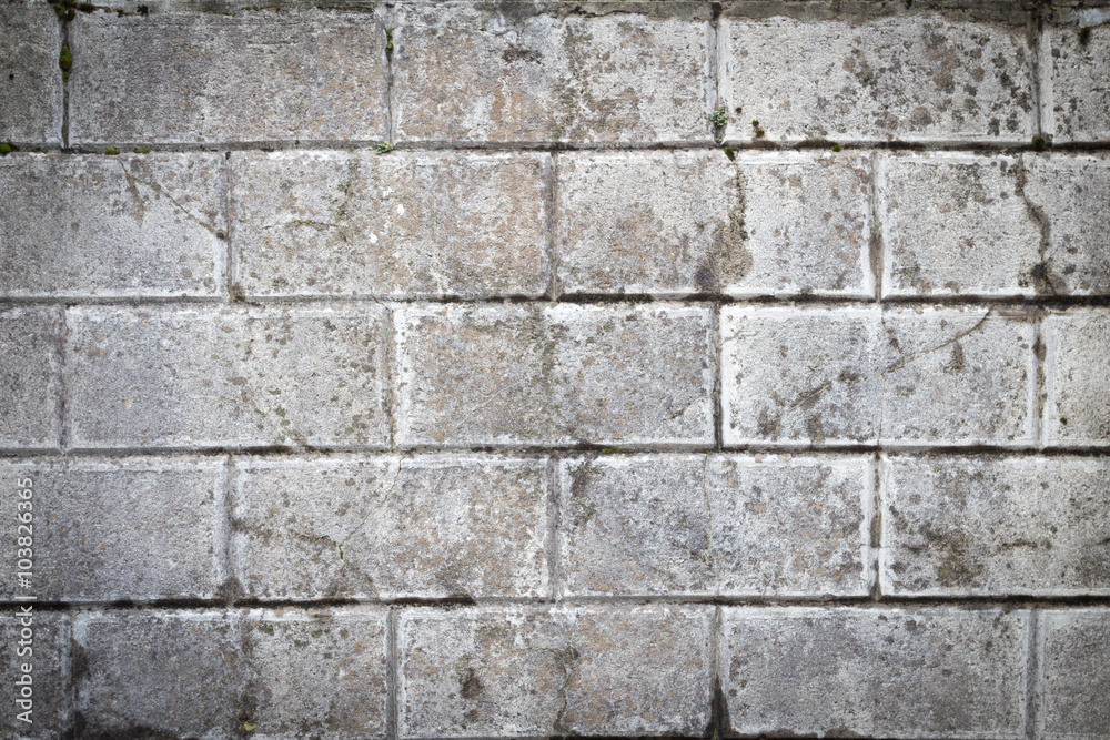 Fototapeta premium White grunge brick wall background