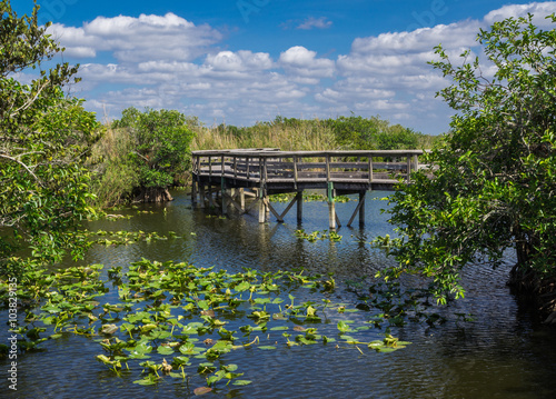 Florida Everglades Boardwalk