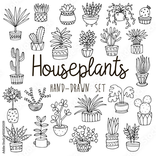 Hand drawn line set of houseplants in pots