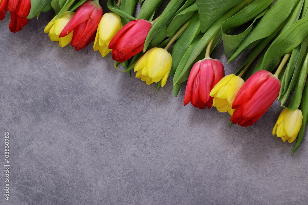 Naklejka premium Tulipany