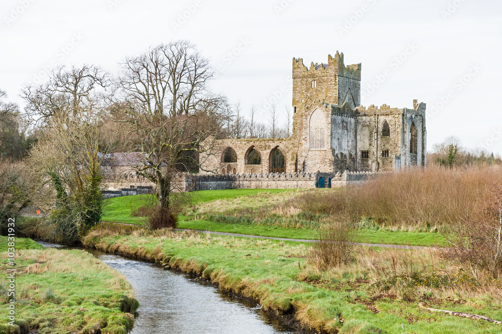 Tintern abbey in Ireland
