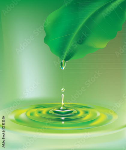 Green leaf with water droplet
