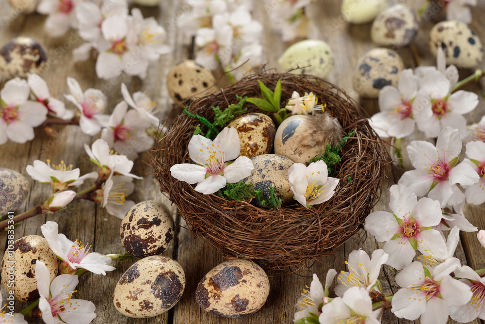 Easter eggs in the nest Easter eggs in the nest