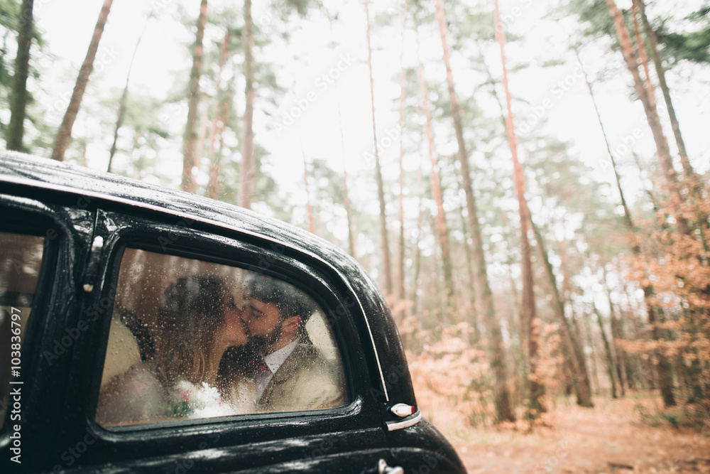 Stylish Loving wedding couple kissing and hugging in a pine forest near retro car