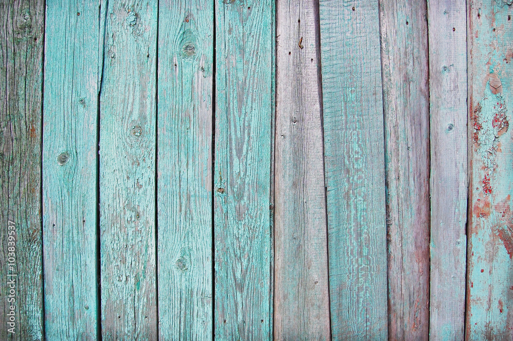 Fototapeta premium palisade background, green, grey, white