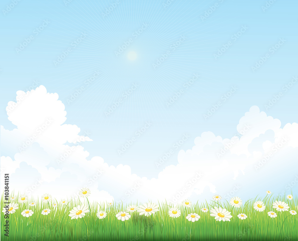 spring sky background