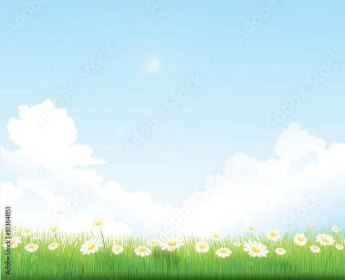 spring sky background